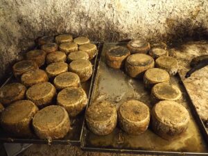 Τα σπάνια τυριά του Αιγαίου, τυρί της σπηλιάς της Μήλου.