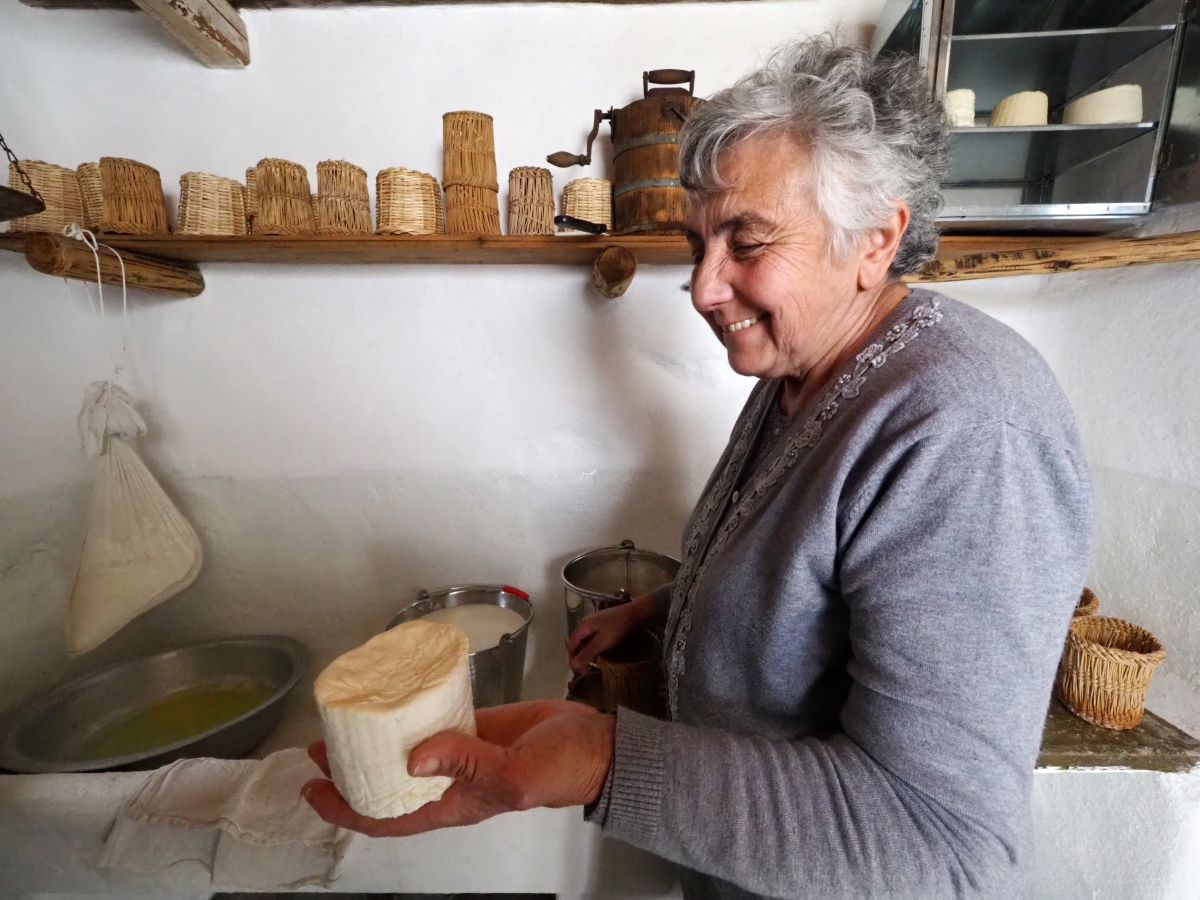 Τα σπάνια τυριά του Αιγαίου, παραδοσιακή τυροκόμηση στη Μύκονο.