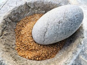 Η κοπή του χόντρου με βότσαλο σε αρχέγονο γουδί.