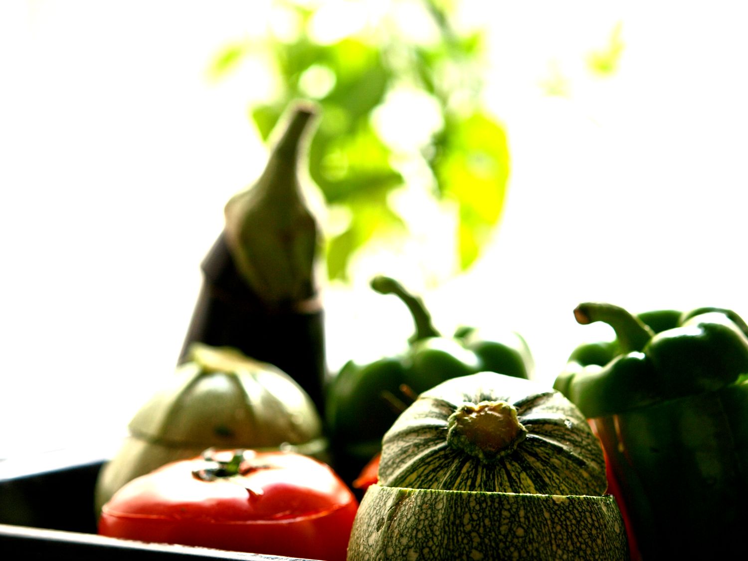 Πανδαισία γεμιστών κηπευτικών.