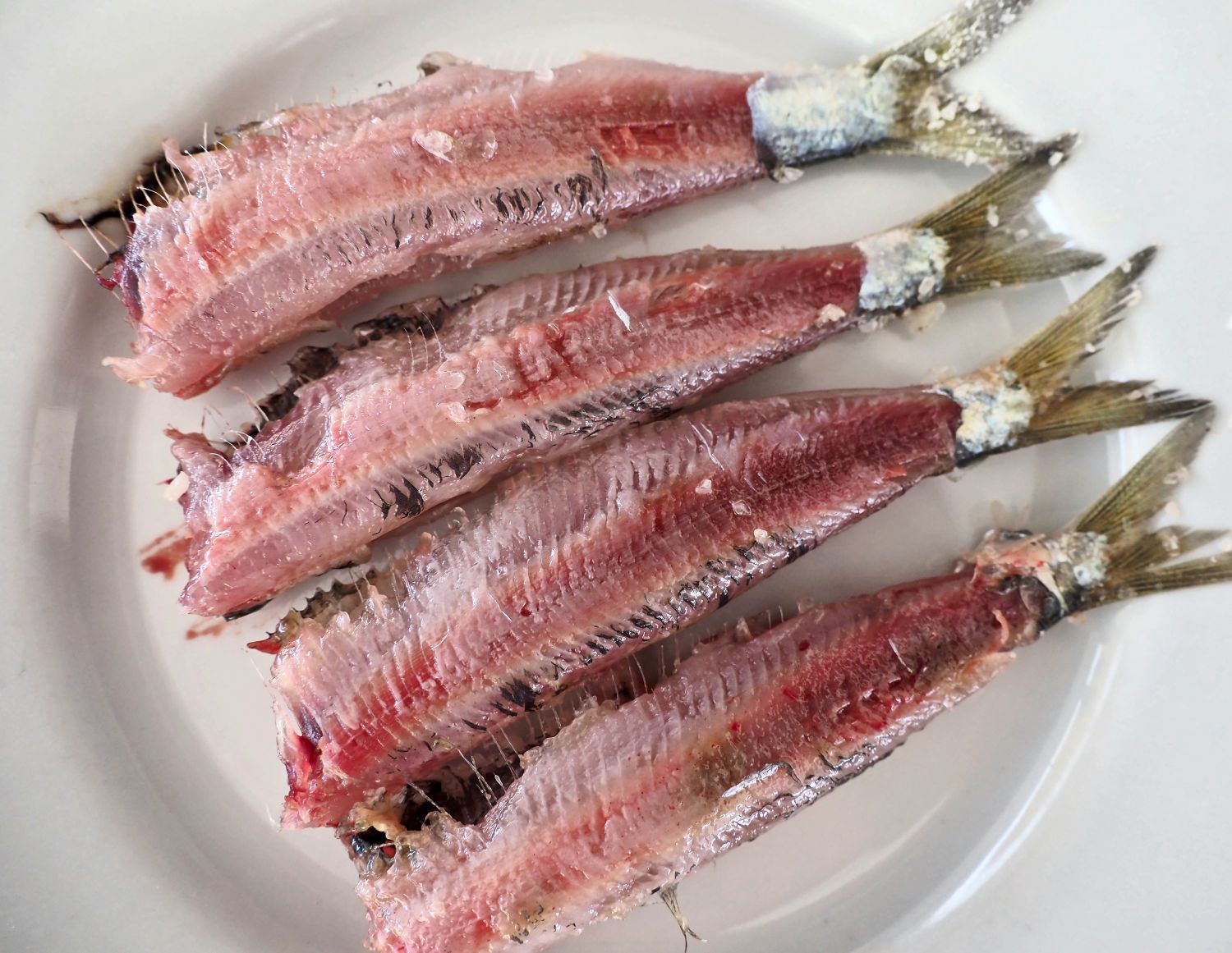 4 Sardeles Kallonis dyo oron NGM00065 NGMastropavlos EudemoniaGr Σαρδέλες Καλλονής δύο ωρών στο αλάτι.
